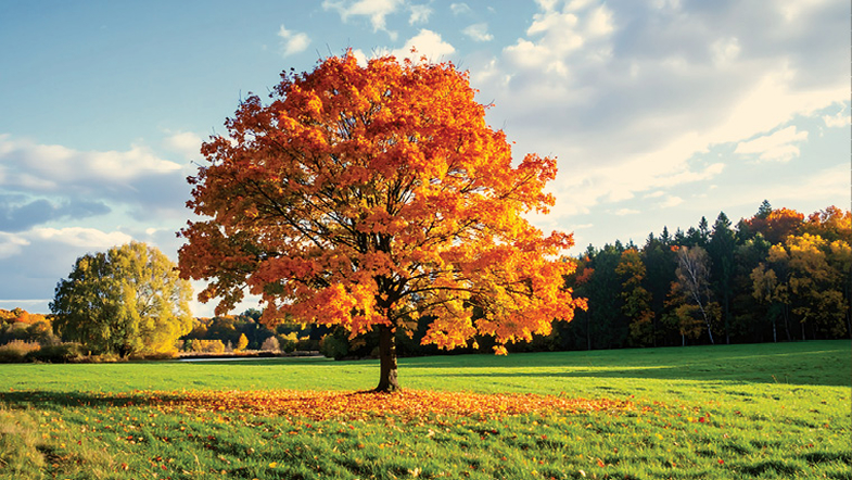 Q3 2025: Investment Grade Private Credit update